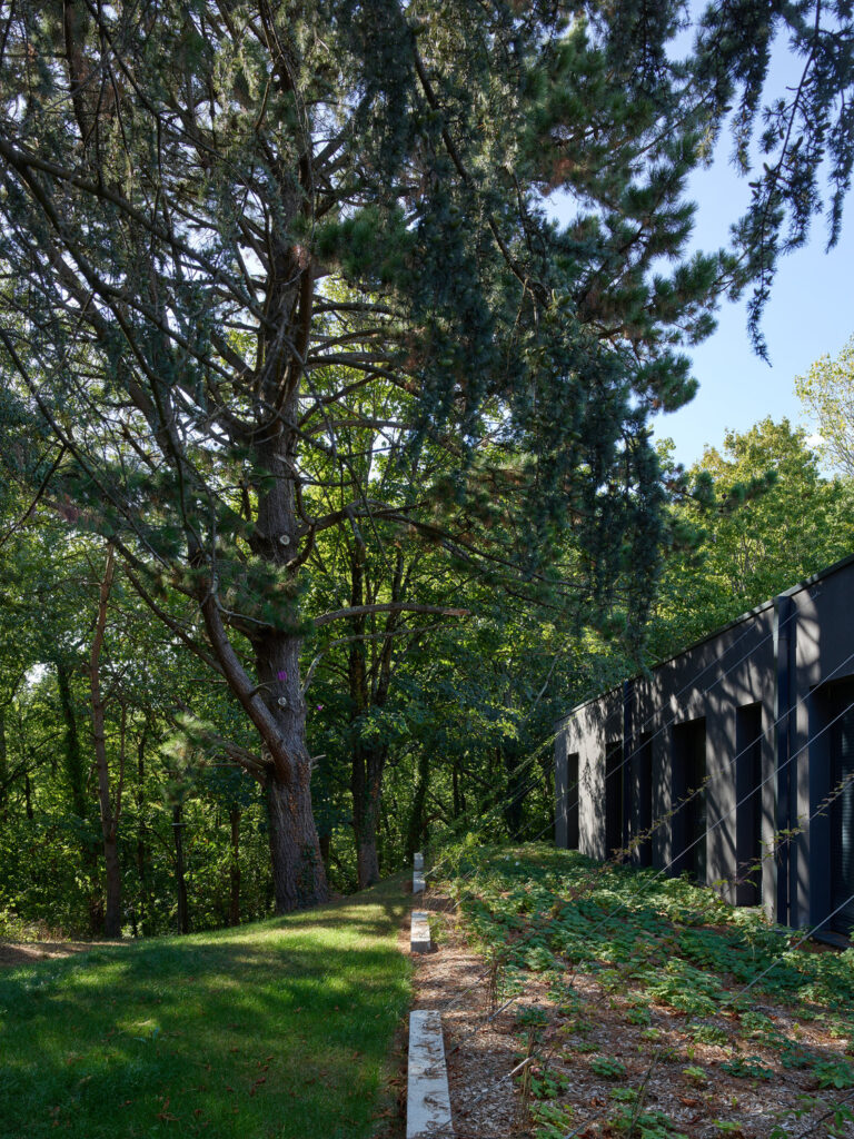 CF178120photos ©S.Chalmeau non libre de droits_web