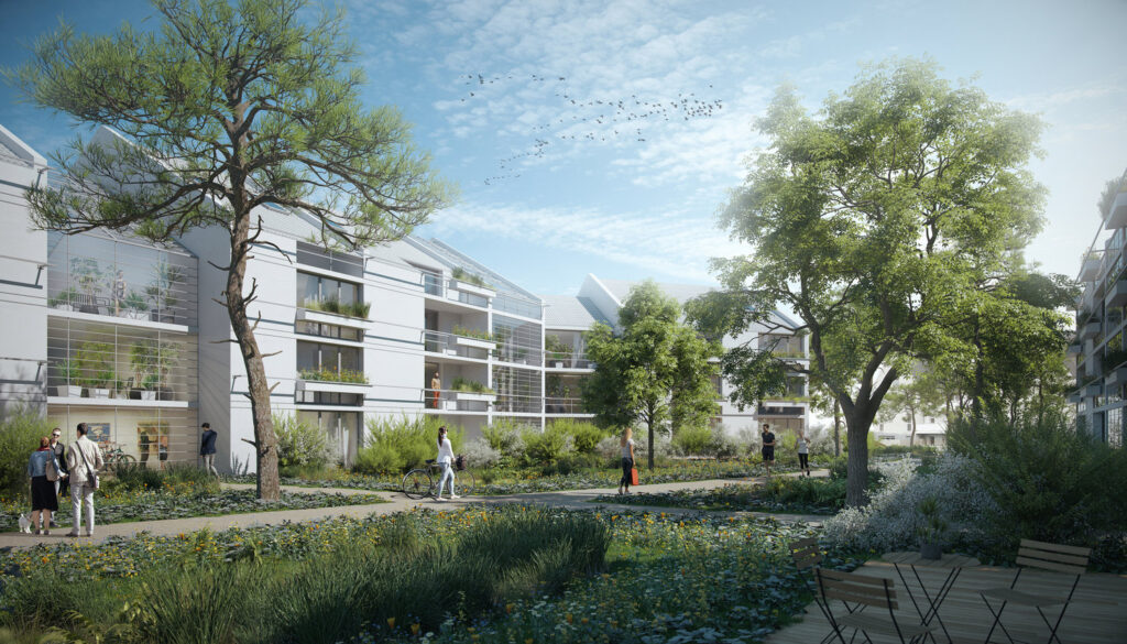 VUE ILOT 16 12 2019_web