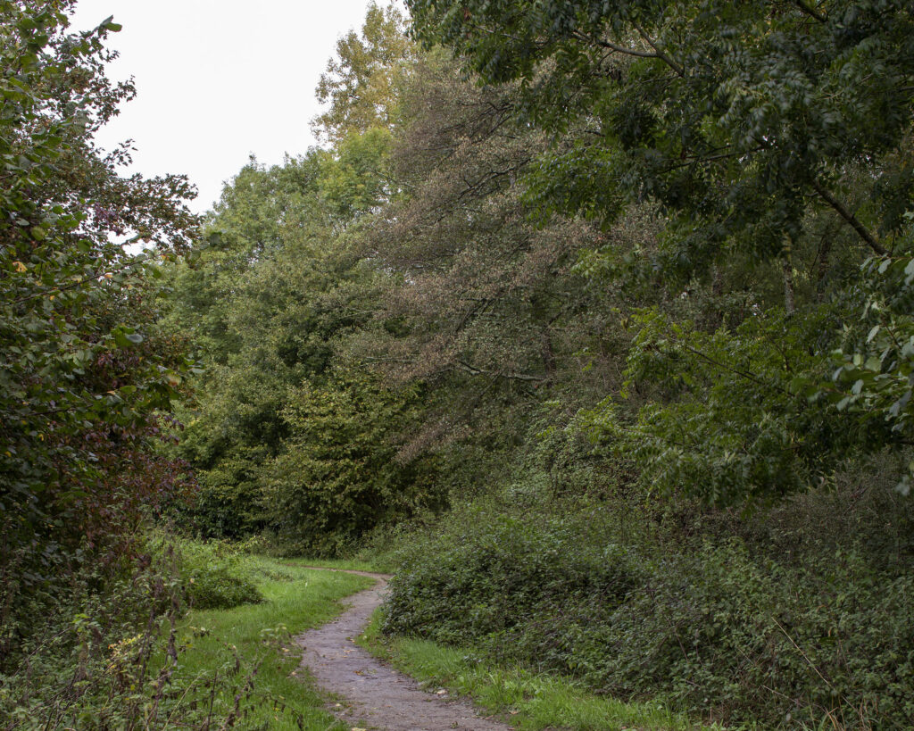 Parcours BASSES NOES