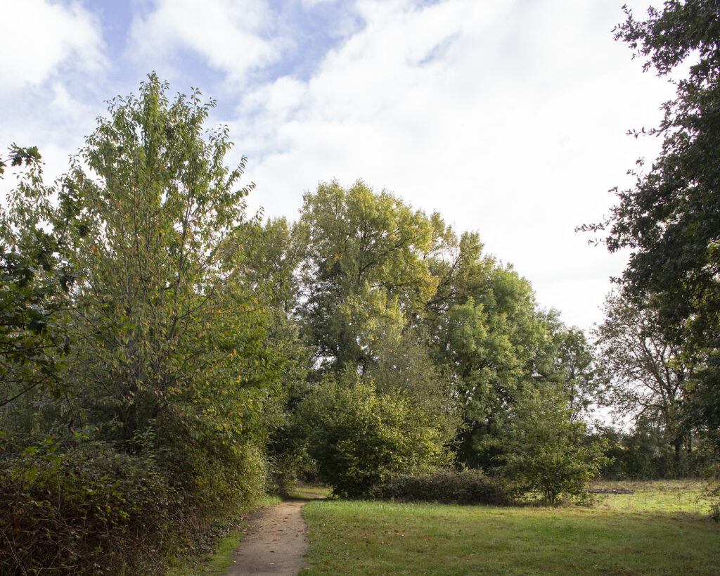 Parcours BASSES NOES