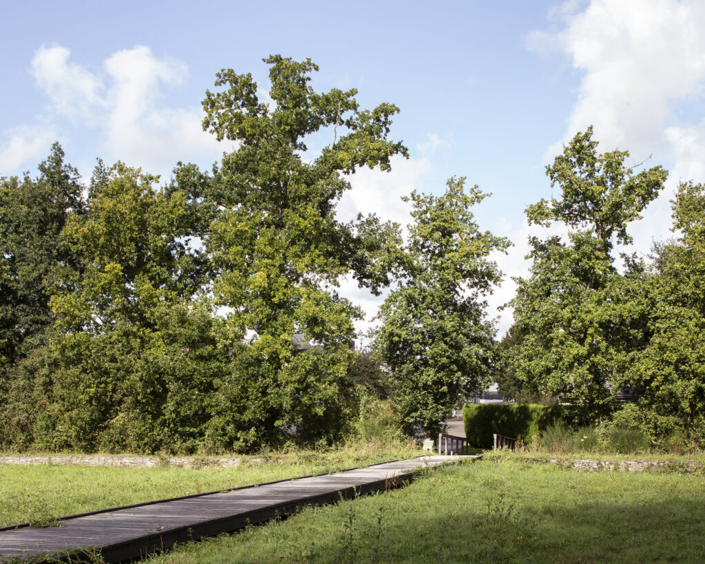 Parcours BASSES NOES