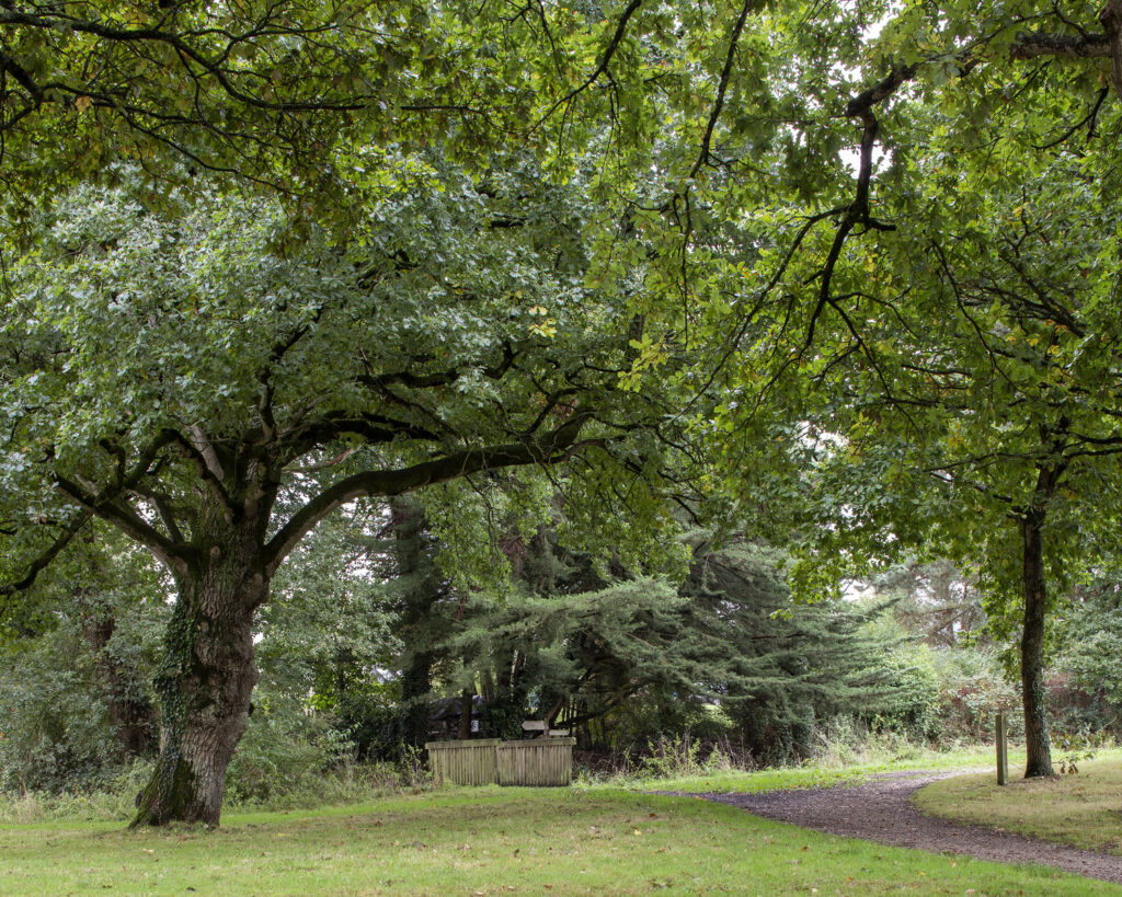 Parcours BASSES NOES