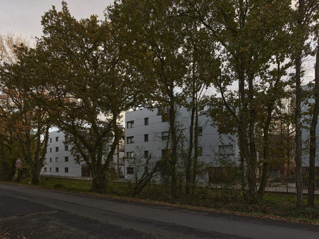 P0056144©S.Chalmeau non libre de droits2020_web