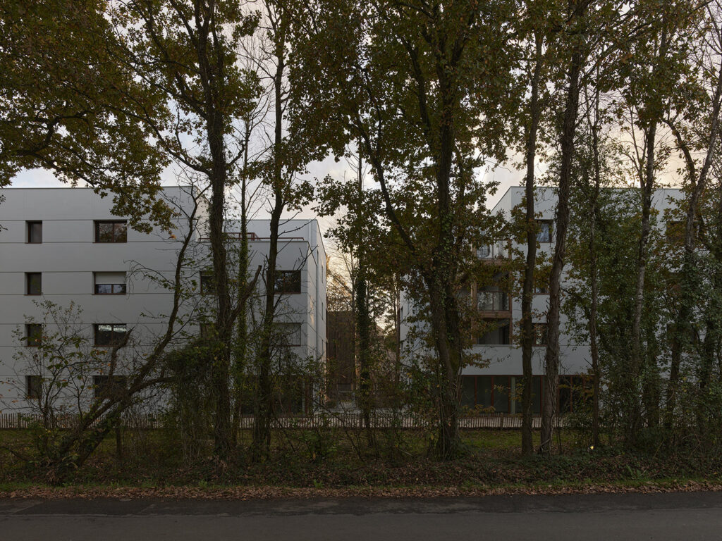 P0056150©S.Chalmeau non libre de droits2020_web