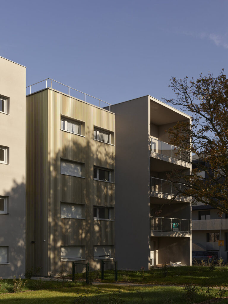 P0059630©S.Chalmeau non libre de droits2020 1_web