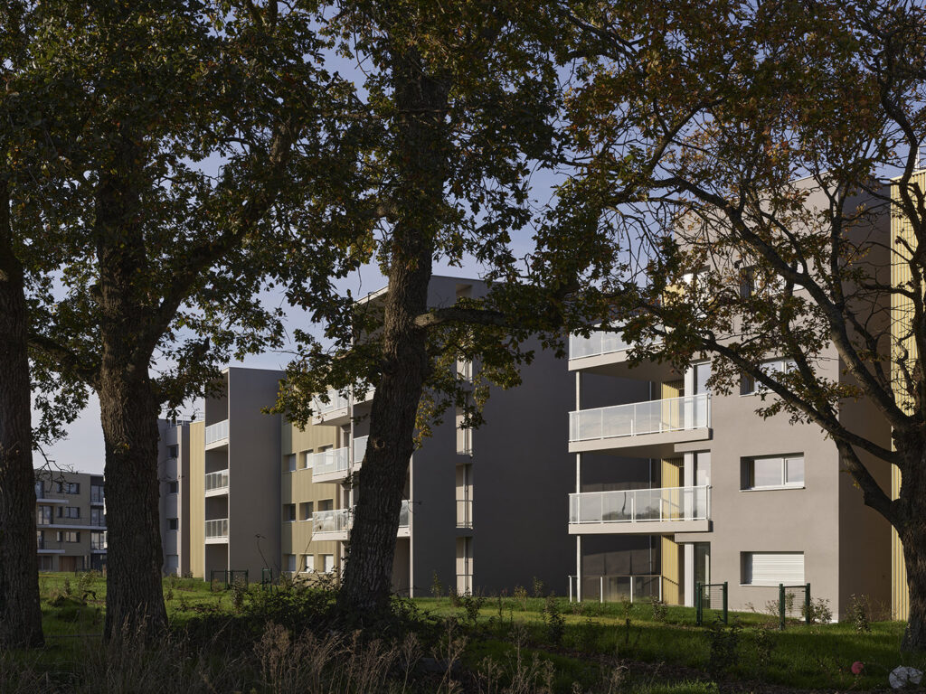 P0059861©S.Chalmeau non libre de droits2020 1_web