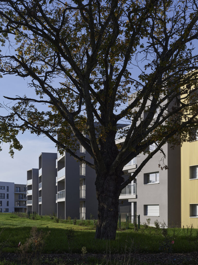 P0059869©S.Chalmeau non libre de droits2020 1_web