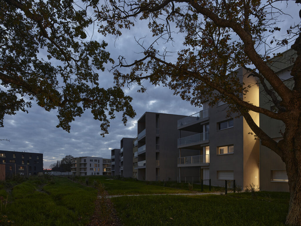 P0060256©S.Chalmeau non libre de droits2020 1_web