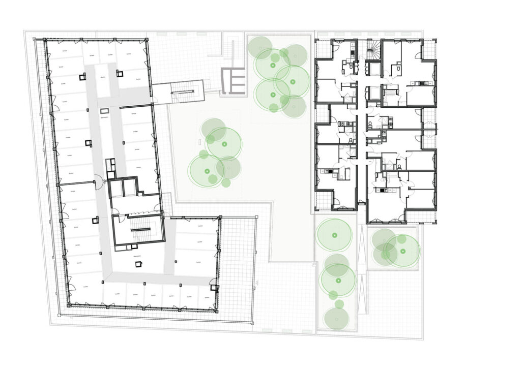 Publication Plan type_web